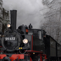 99633 Winterdampf Nr.5 1x1